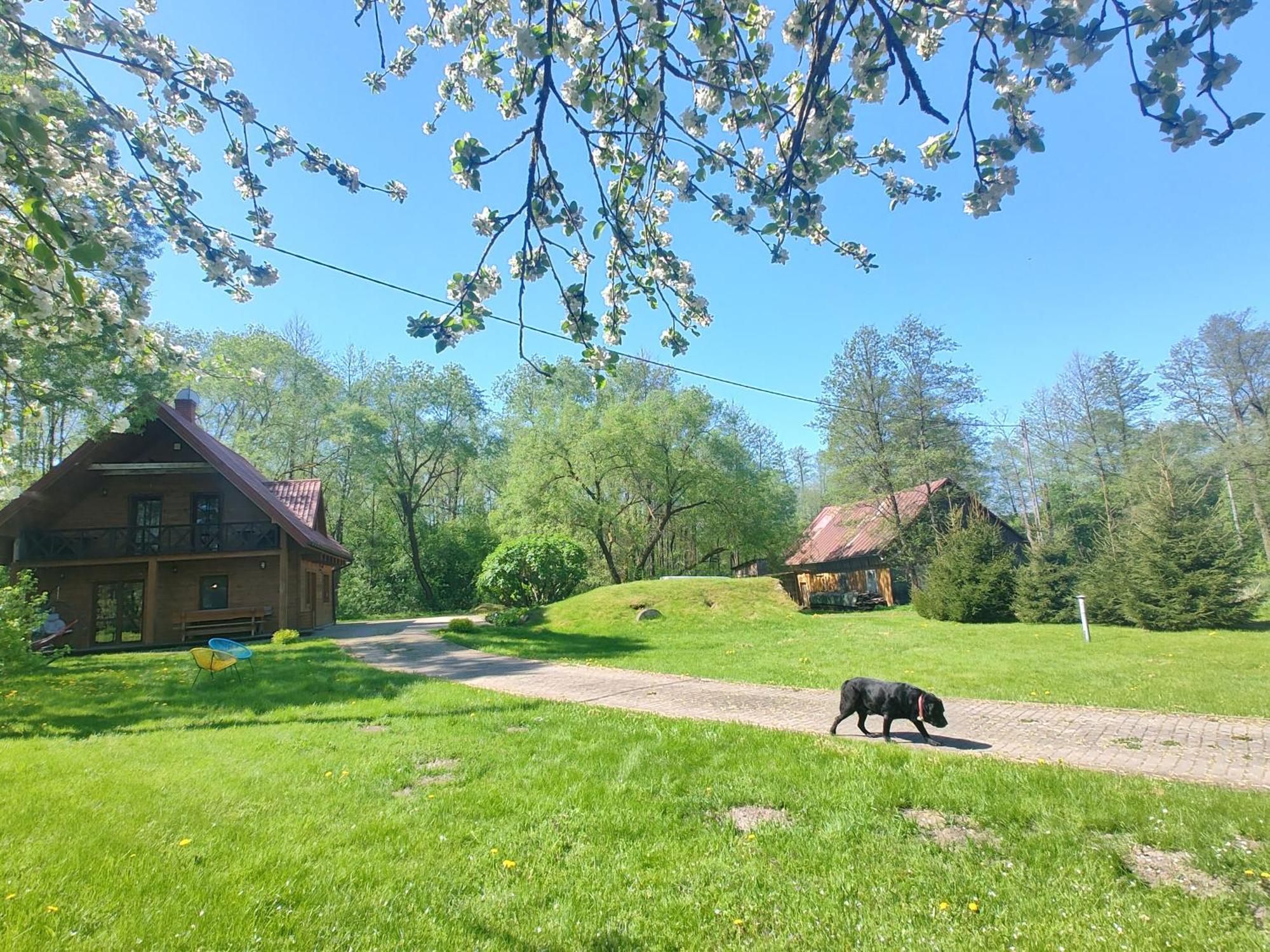 Willa Bobrowa Dolina Wojtostwo  Exterior photo